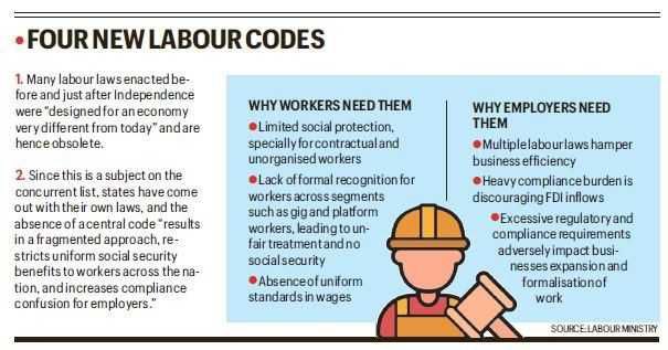 photo 2025 11 26 19 18 51